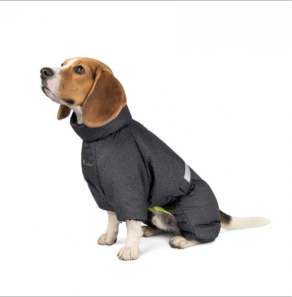 Pet Fashion Overall XS-M + Sondergrößen